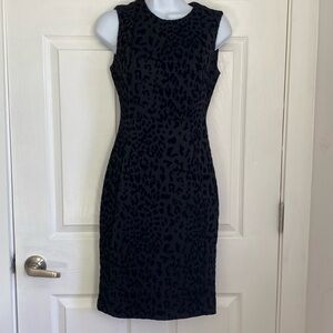Calvin Klein Women Dress Size 2P